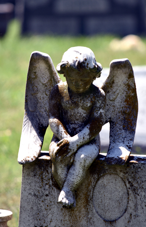 Sitting child angel headstone white stone and weatheredの写真素材
