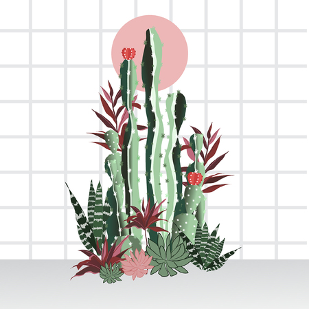 Cactus collection isolated on square line background. Aloe and other succulents.のイラスト素材