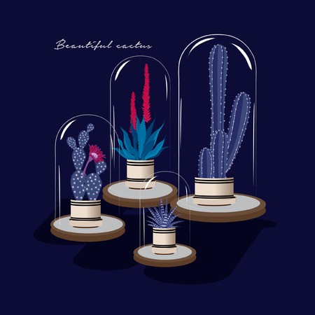 Cactus with flower and aloe vera in glass  isolated on navy blue background. Set of cacti. Potted plants with prickles for home interior.のイラスト素材