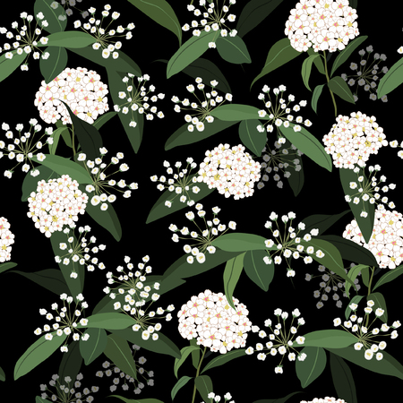  White Hydenyear in the  dark garden night pattern seamless flowers Pattern Isolated on black color. Botanical Floral Decoration Texture. Hand drawing Design for Fabric Print, Wallpaper Background.のイラスト素材
