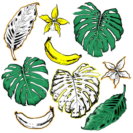 Hand drawn palm leaves and banana vector illustrationのイラスト素材