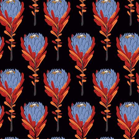 Colorful contrast protea flowers in seamless pattern vector regular repeat for fashion ,fabric and all prints on black  background colorのイラスト素材