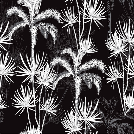 Monotone black and white hand drawn doodle line sketch plam and coconut trees ,island design fot fashion,fabric, and all prints on black background colorのイラスト素材