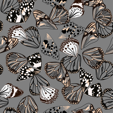 Monotone black and grey colors seamless pattern vectror of butterfly wing surface line hand drawing sketch dsign for fashion,fabric,web,wallpaper and all prints on grey のイラスト素材