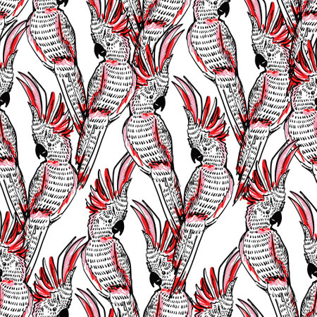 Seamless pattern drawing with tropical birds doodle black and white image of toucan vector sketch Illustration .Design for fashion , fabric, textile, wallpaper, cover, web , wrapping and all prints on whiteのイラスト素材