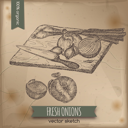 Vintage onions template placed on old paper background. Great for markets, grocery stores, organic shops, food label design.のイラスト素材