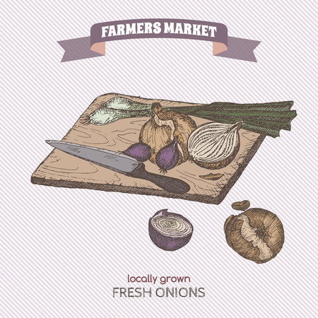 Color vintage onions sketch. Farmers market series. Great for markets, grocery stores, organic shops, food label design.のイラスト素材