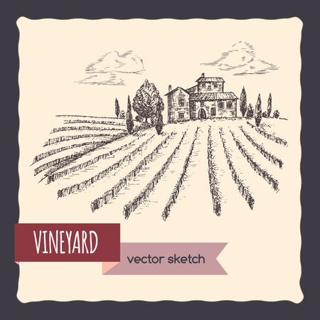 Vineyard and cottage landscape hand drawn vector sketch. Great for vine and travel ads, brochures, labels.のイラスト素材