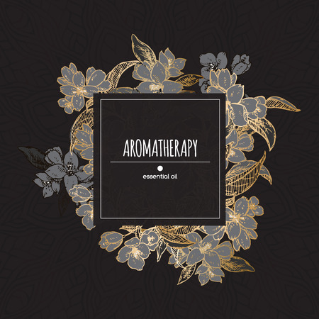 Black and golden center frame template with Jasminum officinale aka common jasmine sketch. Aromatherapy series. Great for traditional medicine, perfume design, cooking or gardening.のイラスト素材