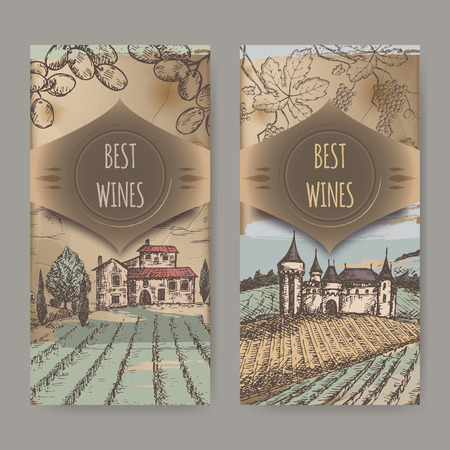 Set of two vintage wine label templates with vineyard and castle color sketch. Placed on old paper background texture. Great for wineries, grocery stores, wine label design.のイラスト素材