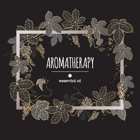 Elegant frame template with golden and black grapes fruit and leaves sketch. Aromatherapy series. Great for winery, grocery store, perfume design, cooking or gardening.のイラスト素材