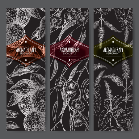 Set of three labels with bergamot, peppermint and eucalyptus sketch on black. Aromatherapy series. Great for traditional medicine, perfume design, cooking or gardening labels.のイラスト素材