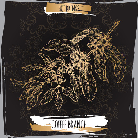 Coffee branch sketch with beans and flowers on black background. Hot drinks collection.のイラスト素材