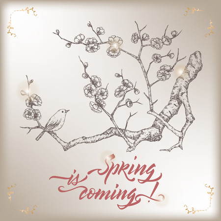 Romantic vintage greeting card template with spring related brush calligraphy and blooming plum branch sketch.のイラスト素材