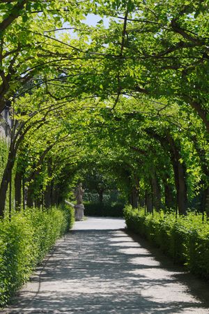 garden path photographed in Wuerzburg, Franconia, Bavaria, Germanyの写真素材