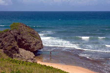 Eastcoast Barbados,の写真素材