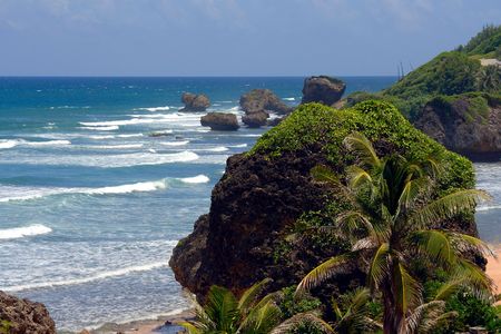 Eastcoast Barbados,の写真素材