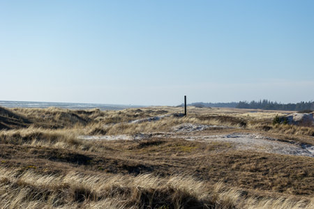 Beautiful beach in the north of Denmark at a sunny but windy day in spring.の写真素材