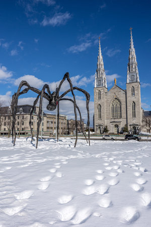 Ottawa, Canada - February 08th 2023: A german photographer discovering Majors Hill Park in downtown Ottawa with view to the national gallery of Canada.のeditorial素材