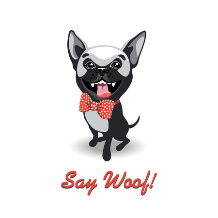 funny french bulldog with bow isolated on white backgroundのイラスト素材