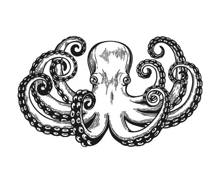 Octopus engraving. Vintage black engraving illustration. Retro style card. Isolated on white background. Vector illustrationのイラスト素材