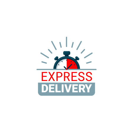 Express delivery icon.のイラスト素材