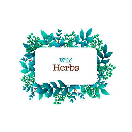 Herbal pre-made composition. Horizontal frame with leaves and branches. Summer wild herbs with space for your text. Healing Herbs for cards, wedding invitation, save the date, greeting design. Vectorのイラスト素材