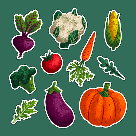 Vegetable sticker set. Variety of decorative vegetables with grain texture isolated on green background. Vegan healthy eating, vegetarian organic food, diet. Vector illustrationのイラスト素材