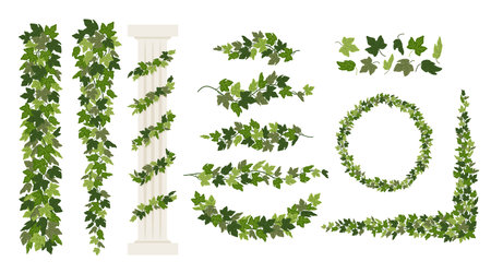 Ivy vines and wreaths, and a greek antique column entwined with ivy, elements isolated on white background. Vector illustration in flat cartoon styleのイラスト素材