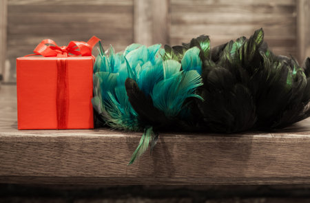 with turquoise, blue, green and black feathers and red box on a wooden background. Necklaces