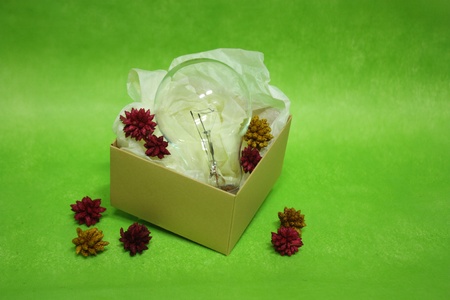 Lightbulb in the boxの写真素材