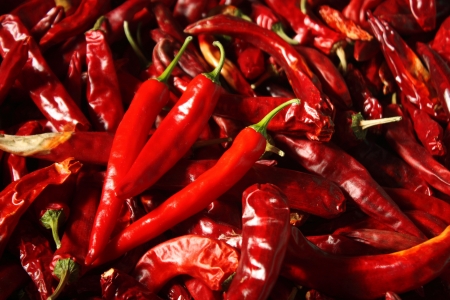 Three fresh red chiliesの写真素材