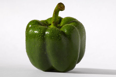 Fresh sweating green pepper with white backgroundの写真素材