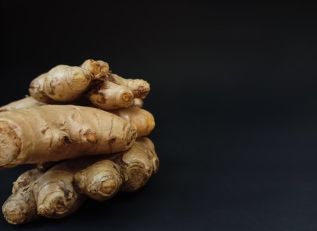 Ginger on black backgroundの写真素材