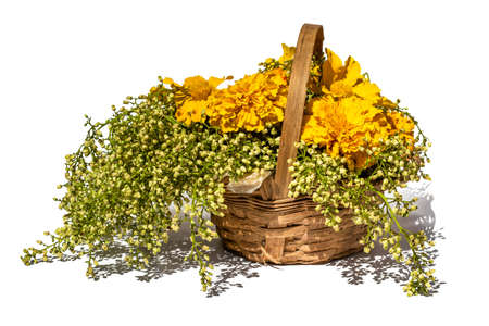 Awesome flower Vase Make With bamboo, handicrafts Brass Decorative Flower Pot or Vase Fuldani Showpiecesの写真素材