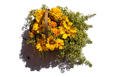 Flower Vase is created to beautify the arrangement of flowers and trees that the best flower vase, centerpiece vase, decorative vaseの写真素材