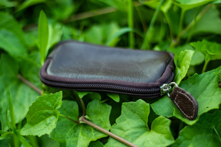 A leather black key bag which is done with very high quality leather and showing on green grass