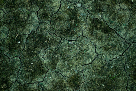 Soil cracks when it has a large amount of clay and is exposed to hot, dry conditions. Clay sticks together when the soil is wet and liquid.の写真素材