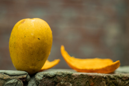 Mango piece on a brick wall, Ripe mangoes feel heavy for their size and give off a lovely aroma when they're ready to eatの写真素材