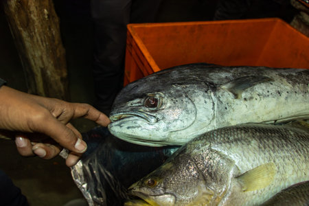 A finger touches a fish's mouth for scale, with another fish's scales below, highlighting freshness.