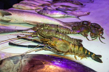 A large lobster with a green and yellow shell and long antennae. Several other lobsters and what appear to be fresh crabs are arranged alongside itの写真素材