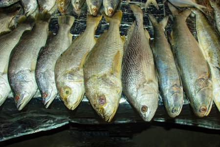 Close up view of a row of fresh fish, likely caught for sale. Seafood markets, fresh fish display,...