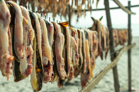 Several halved fish sea food dangle from a wooden beam, their pink flesh and pale organs exposed,...