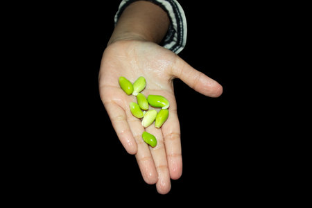 A handful of freshly shelled green beans, natural plant protein. These seeds represent culinary...