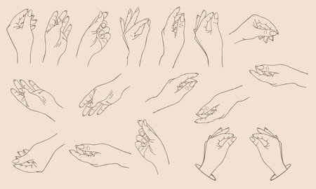 Set of icons womens hands in a trendy minimal style. Vector Illustration of female hands with various gestures. To create yours designsのイラスト素材