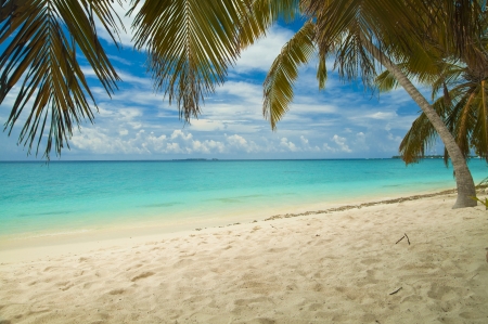 Tropical sandy beach with turquoise water の写真素材