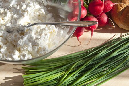 Spring breakfast ingredients - cottage cheese, chives, radishの写真素材