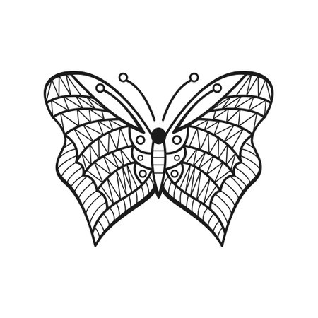 Butterfly vector, creative line art style designのイラスト素材