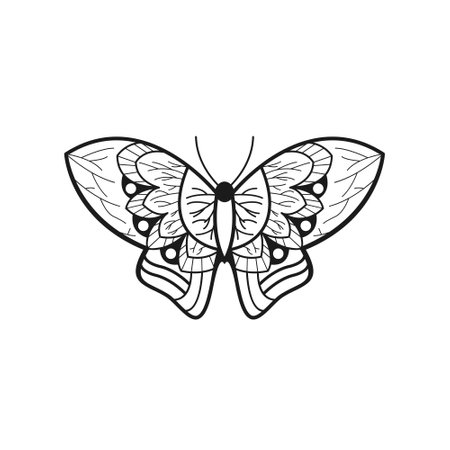 Butterfly vector, creative line art style designのイラスト素材
