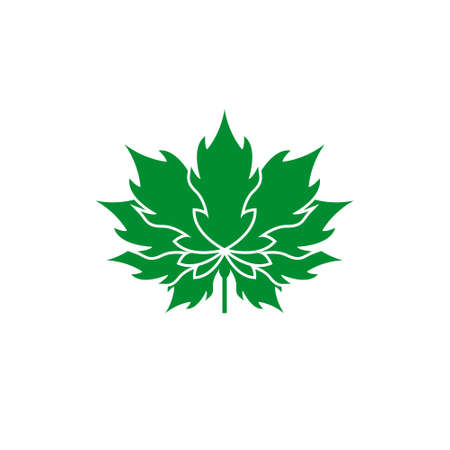 Cannabis , creative design vectorのイラスト素材